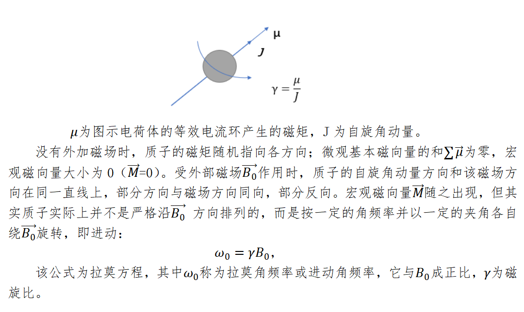 磁共振成像原理與序列應用虛擬仿真實驗